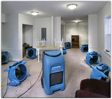 Mold Remediation & Removal in Flint, MI