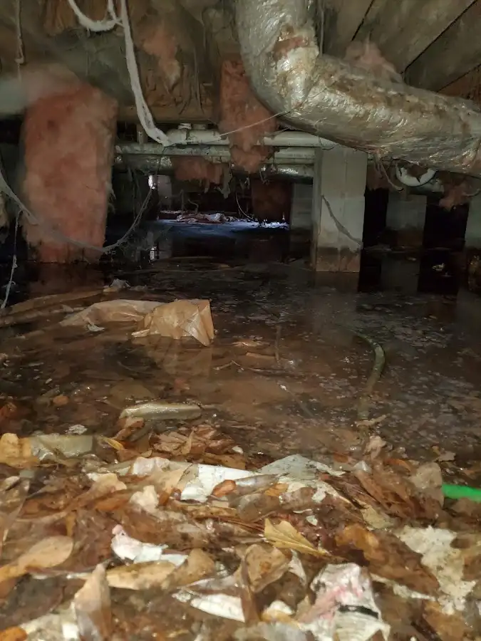 Crawl space flood assessment for Leak Detection & Repair in Flint